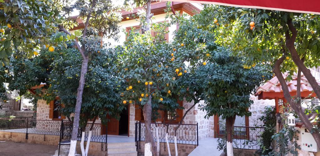 Citrus Garden Hotel Antalya Kültér fotó