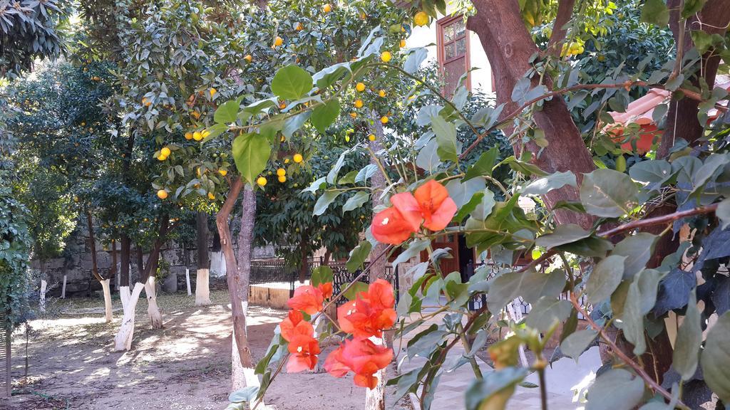 Citrus Garden Hotel Antalya Kültér fotó