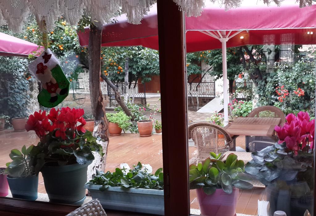 Citrus Garden Hotel Antalya Kültér fotó