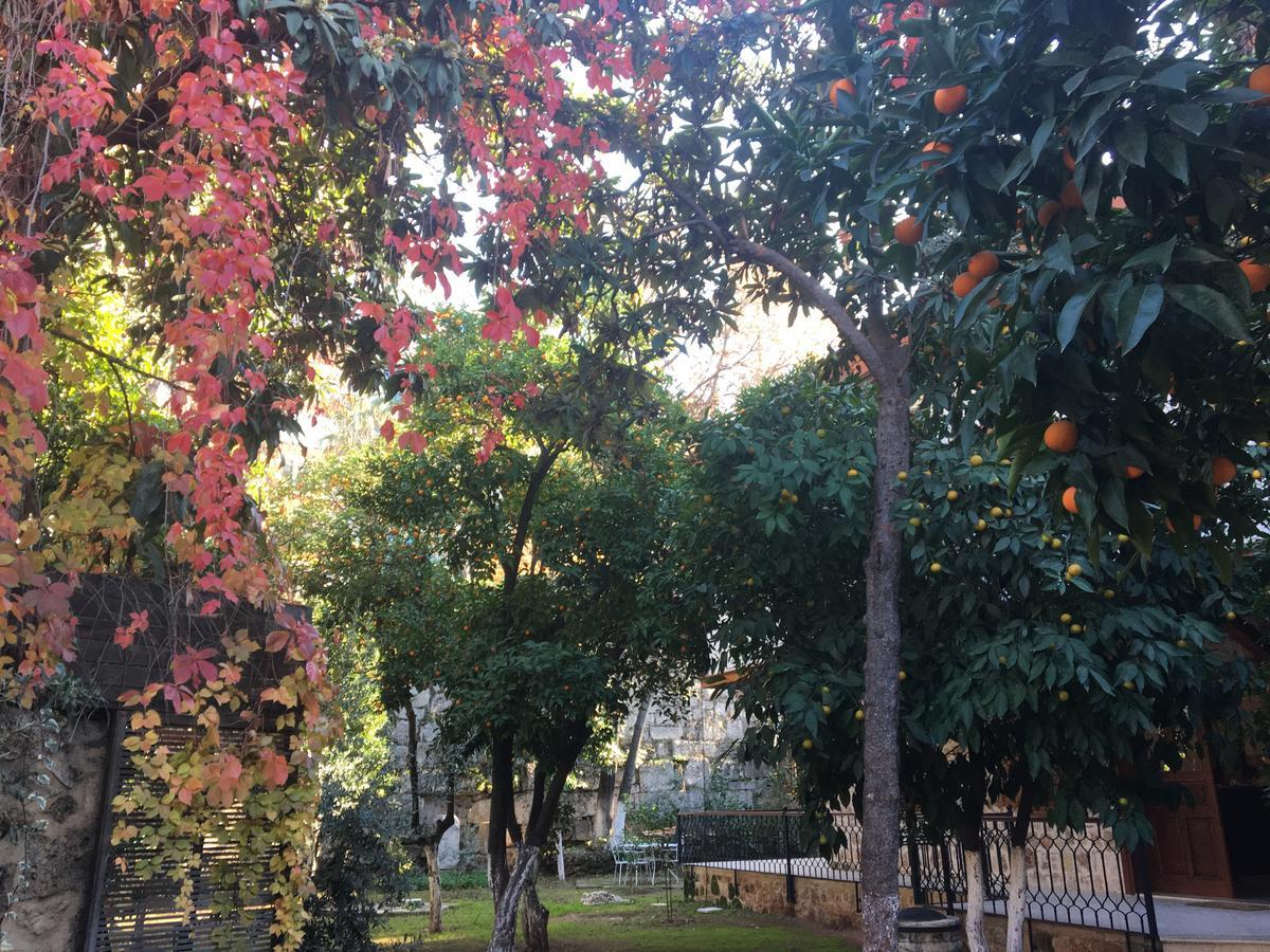Citrus Garden Hotel Antalya Kültér fotó