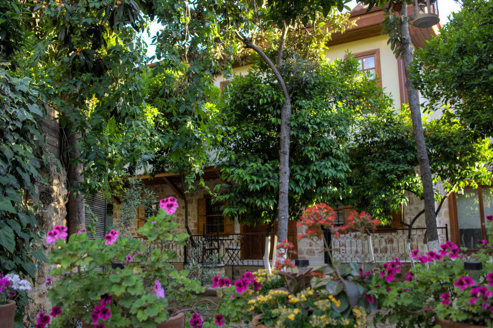 Citrus Garden Hotel Antalya Kültér fotó