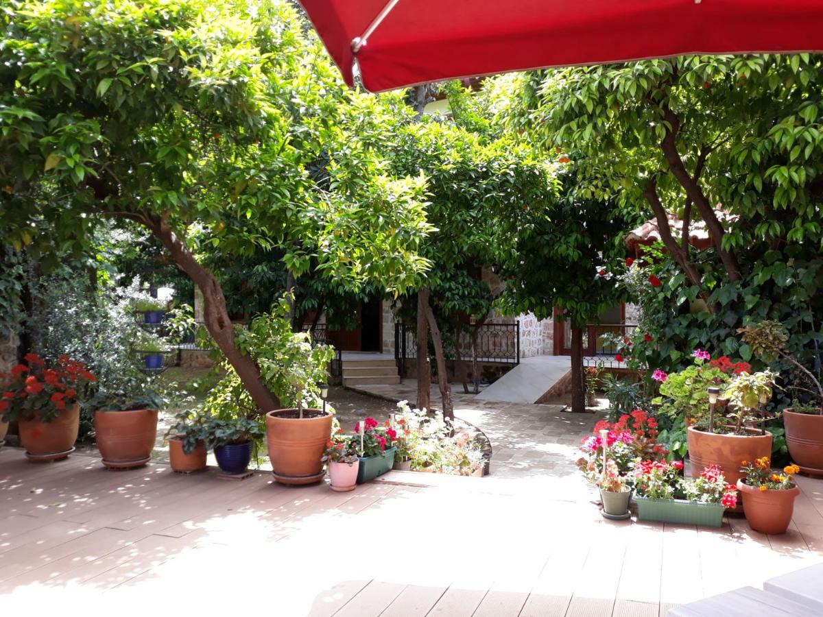 Citrus Garden Hotel Antalya Kültér fotó