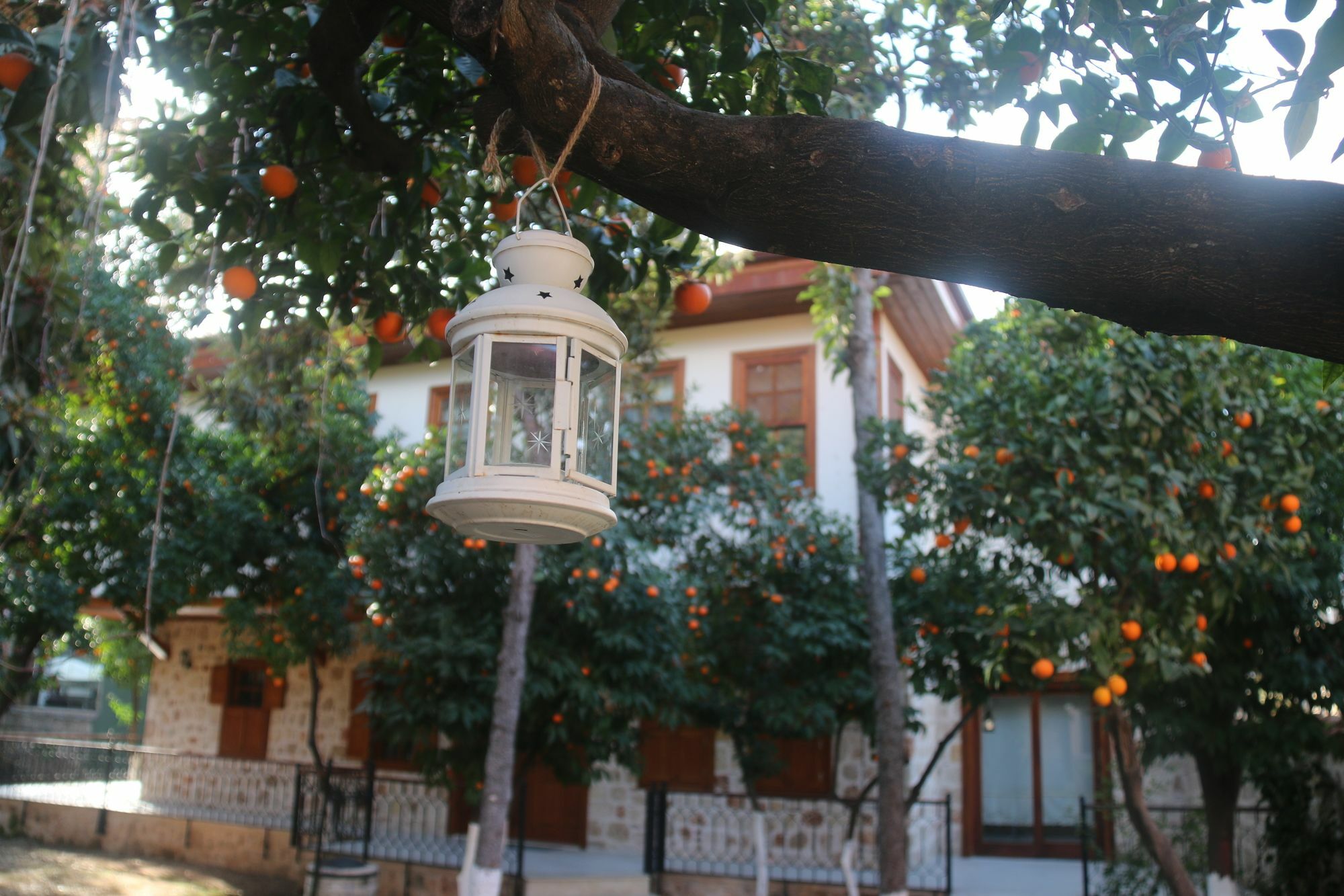 Citrus Garden Hotel Antalya Kültér fotó